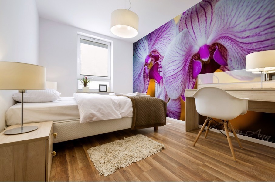 Orchids II Mural print