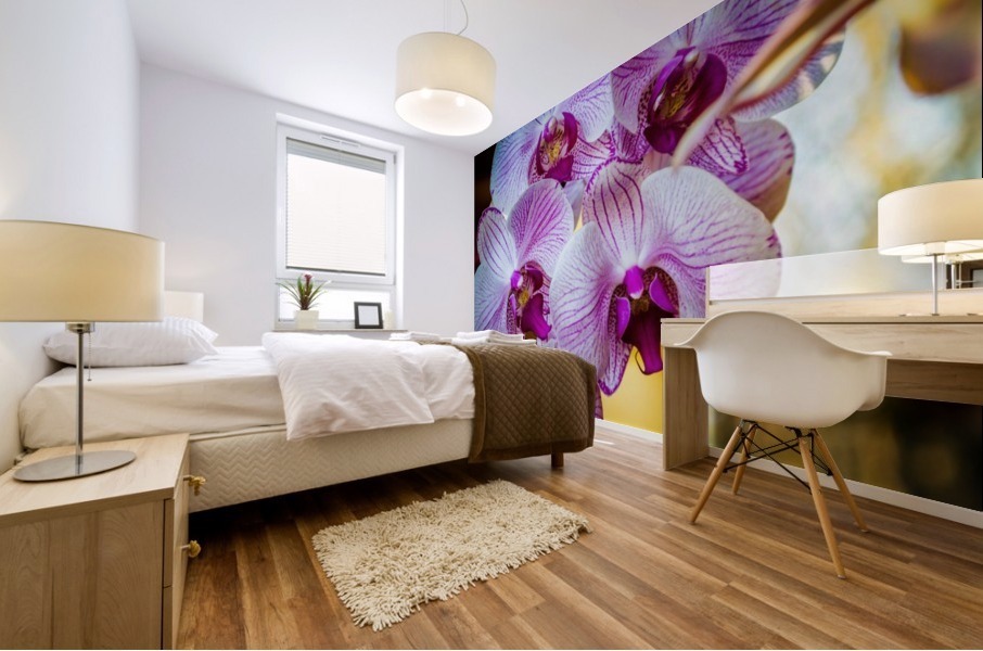 Orchids I Mural print