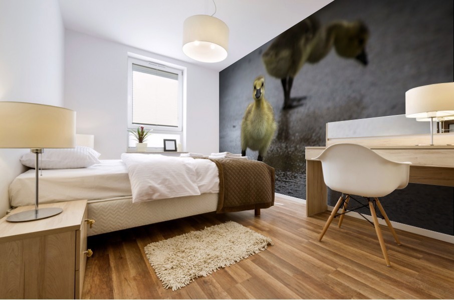 Gosling III Mural print