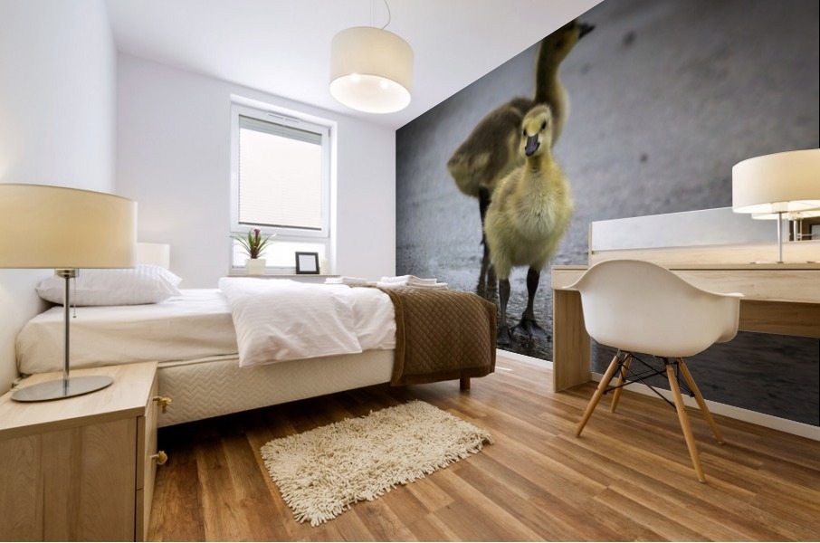 Gosling I Mural print