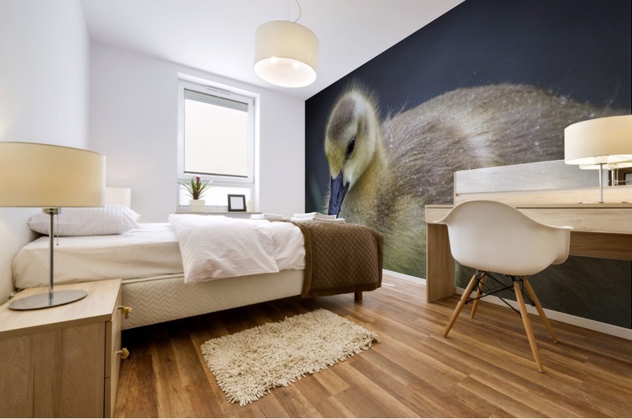 Gosling IV Mural print