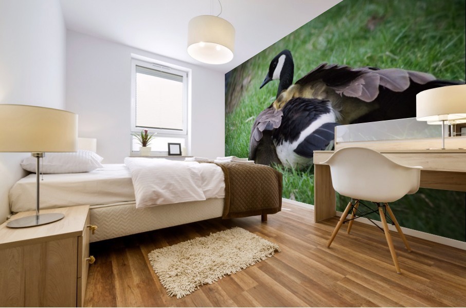 Goslings V Mural print