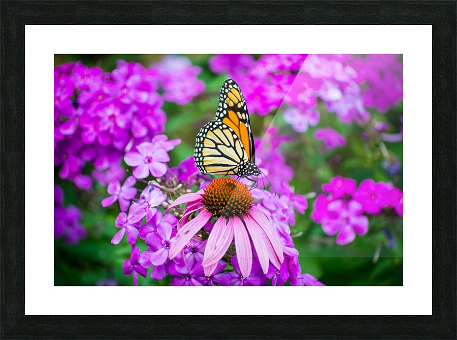 Taking a break III Picture Frame print