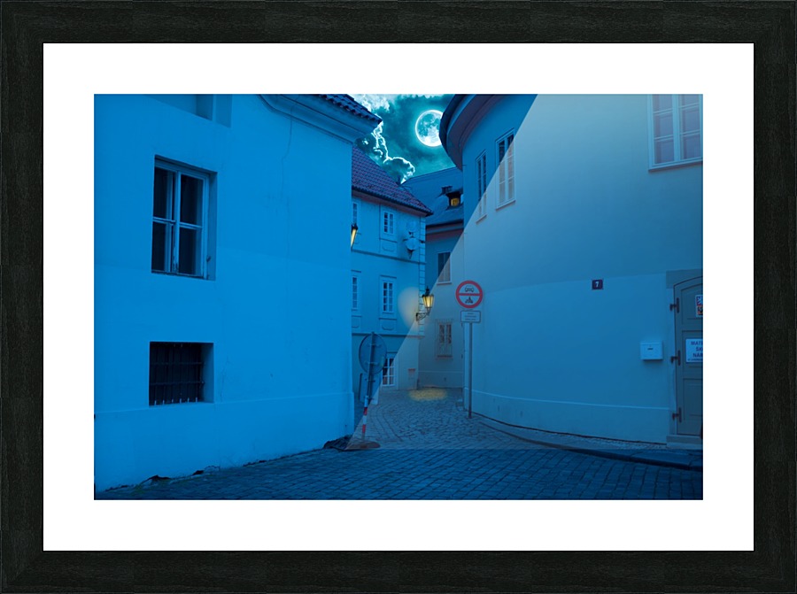 Prague_ Picture Frame print