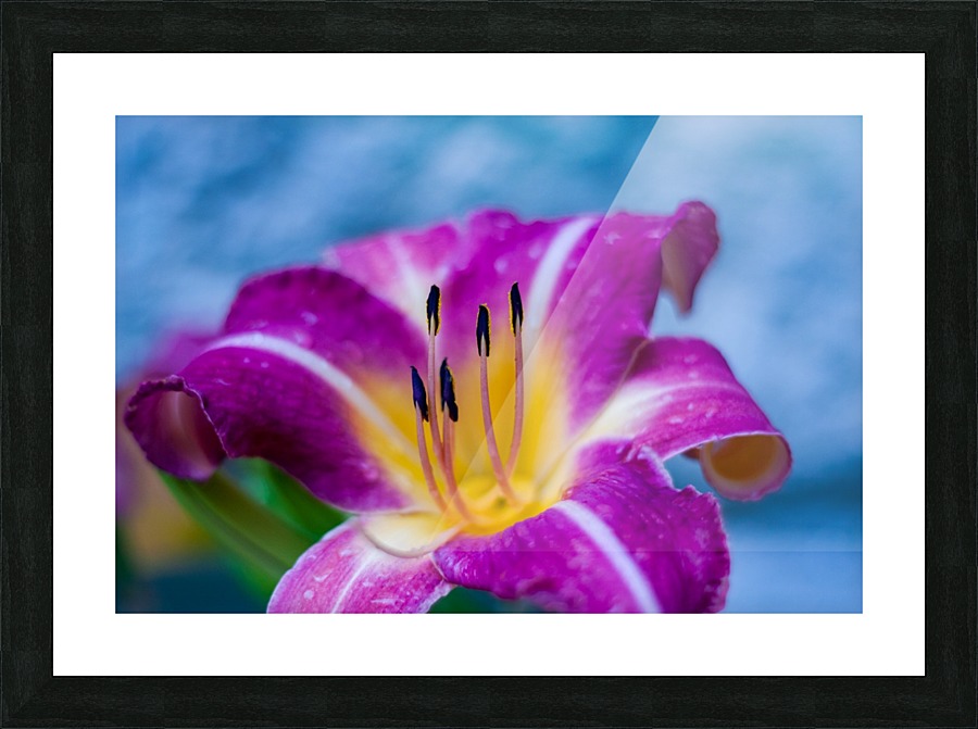 Flowers_ Picture Frame print