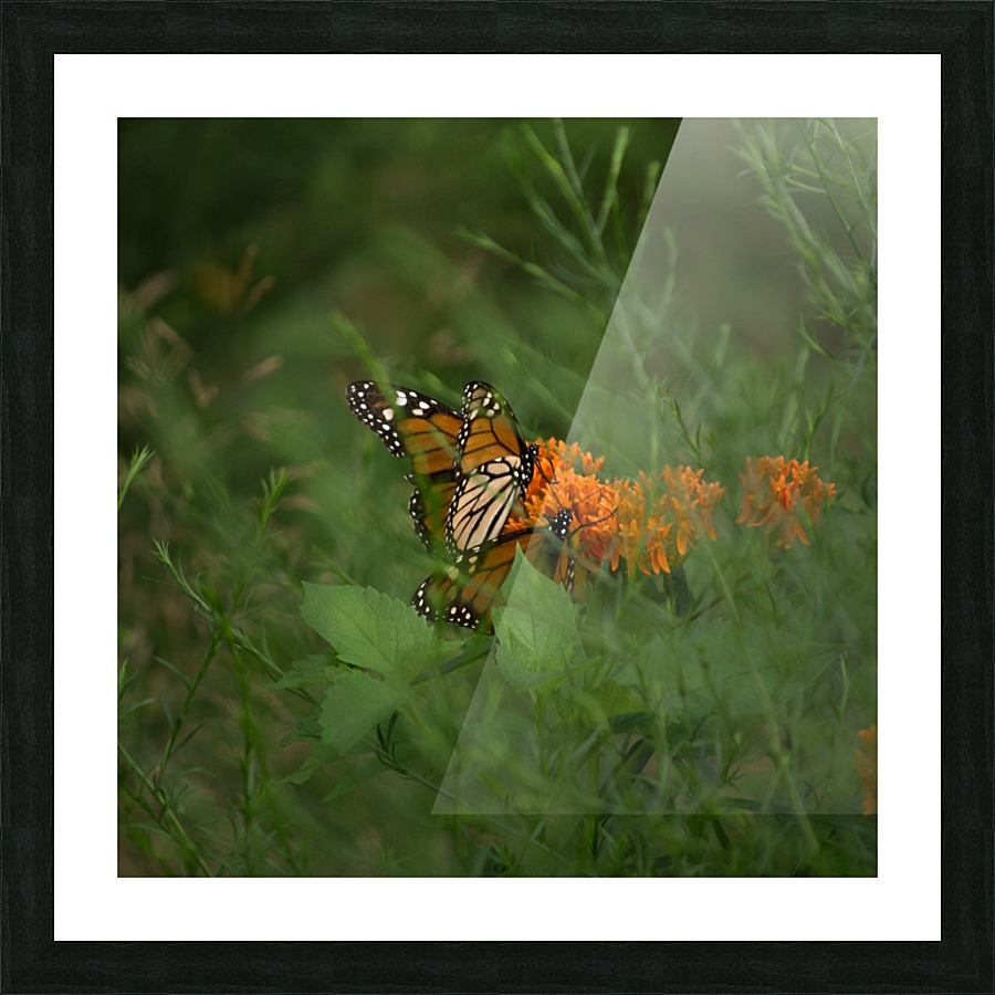 New_York_ Picture Frame print