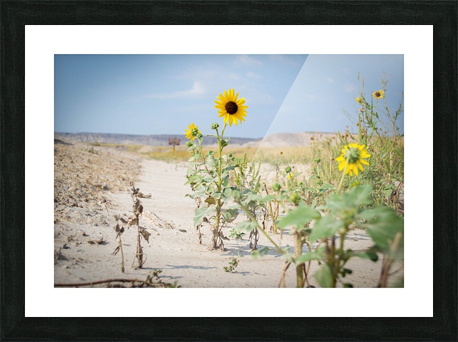 Wyoming_Solar_Eclipse Picture Frame print