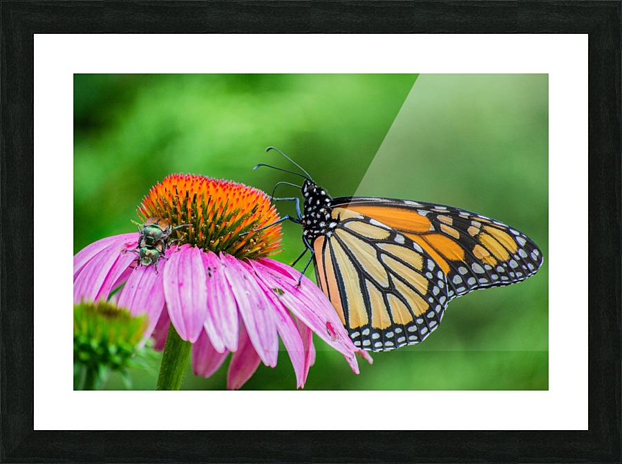 Taking a break II Picture Frame print