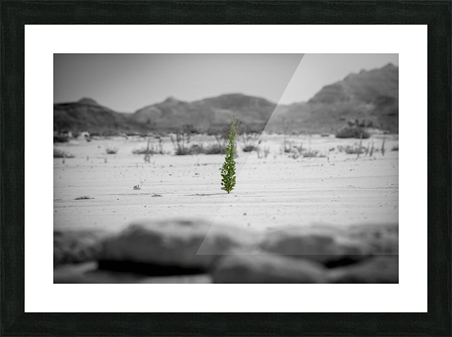 Wyoming_Solar_Eclipse Picture Frame print