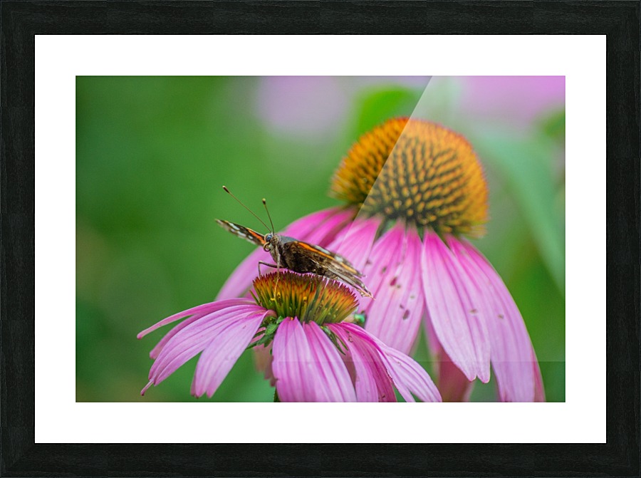 Taking a break I Picture Frame print