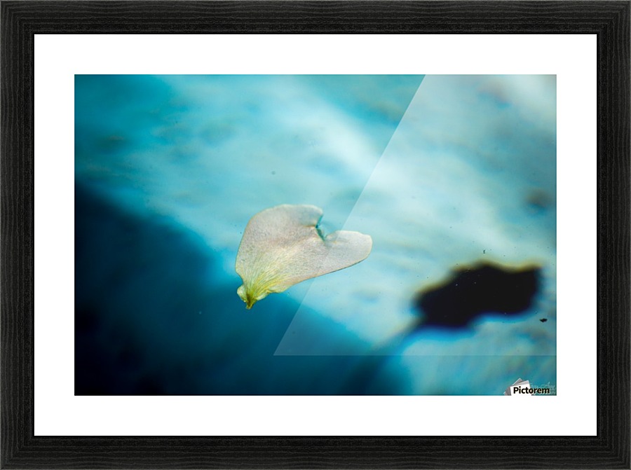 Drifting Love III Picture Frame print