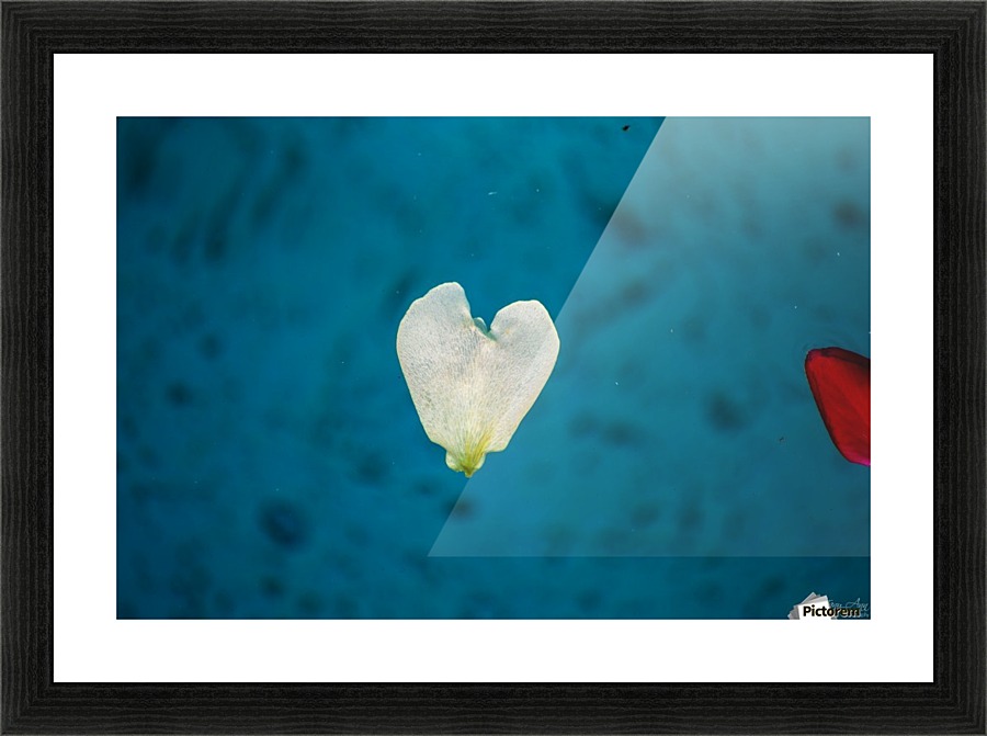 Drifting Love I Picture Frame print
