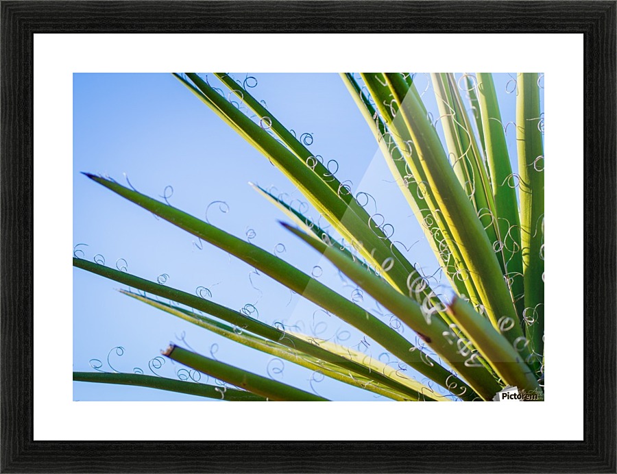 Loops III Picture Frame print