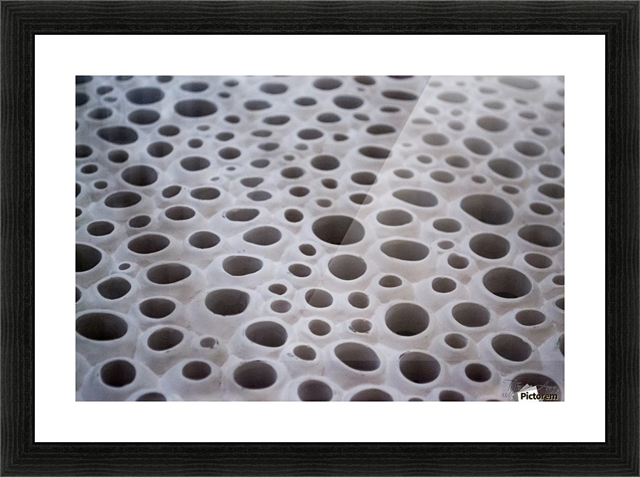 Another World Picture Frame print