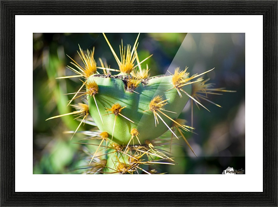 Protected Heart Picture Frame print