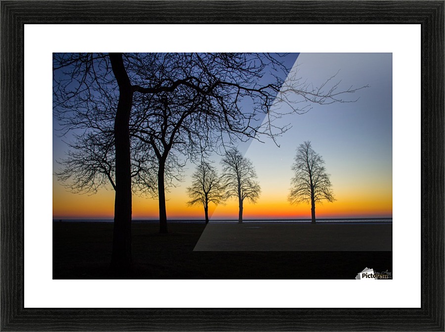 Trees II Picture Frame print