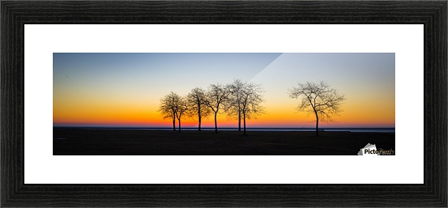 Trees III Picture Frame print