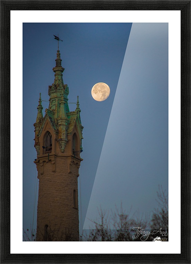 Looking Up Picture Frame print