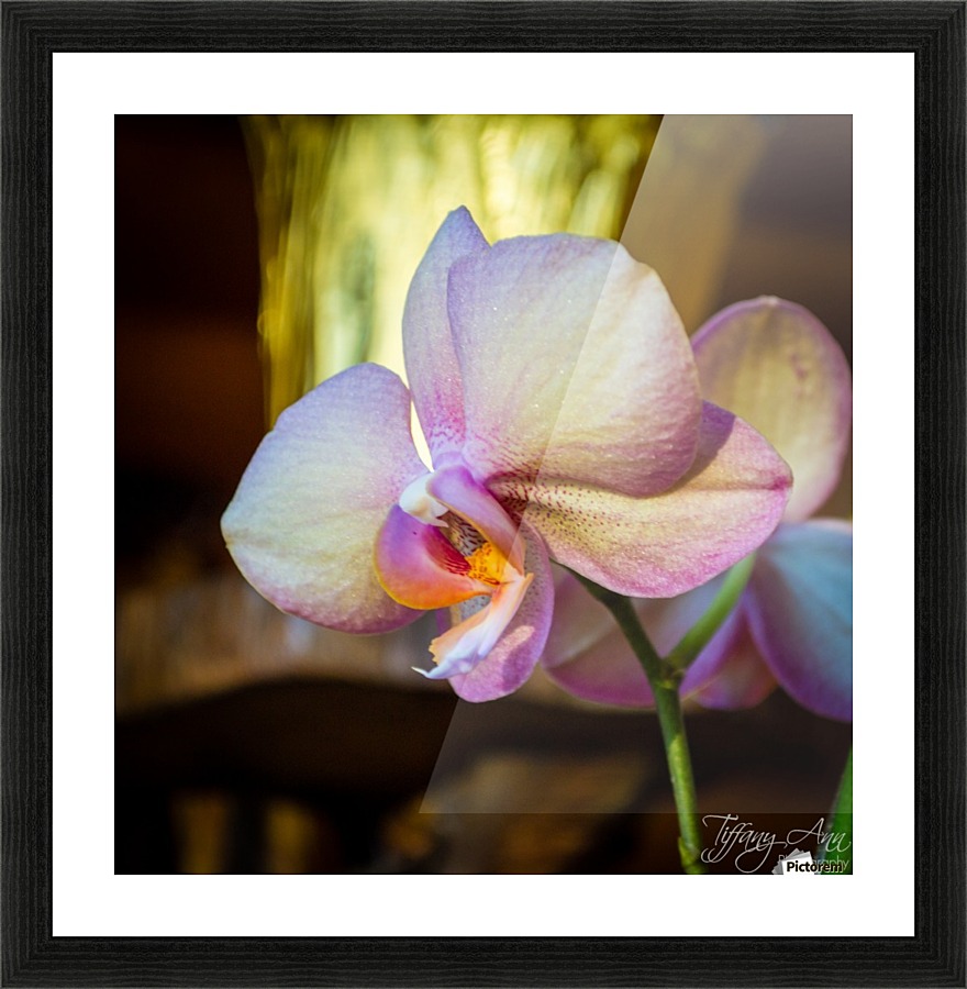 Good Morning Picture Frame print