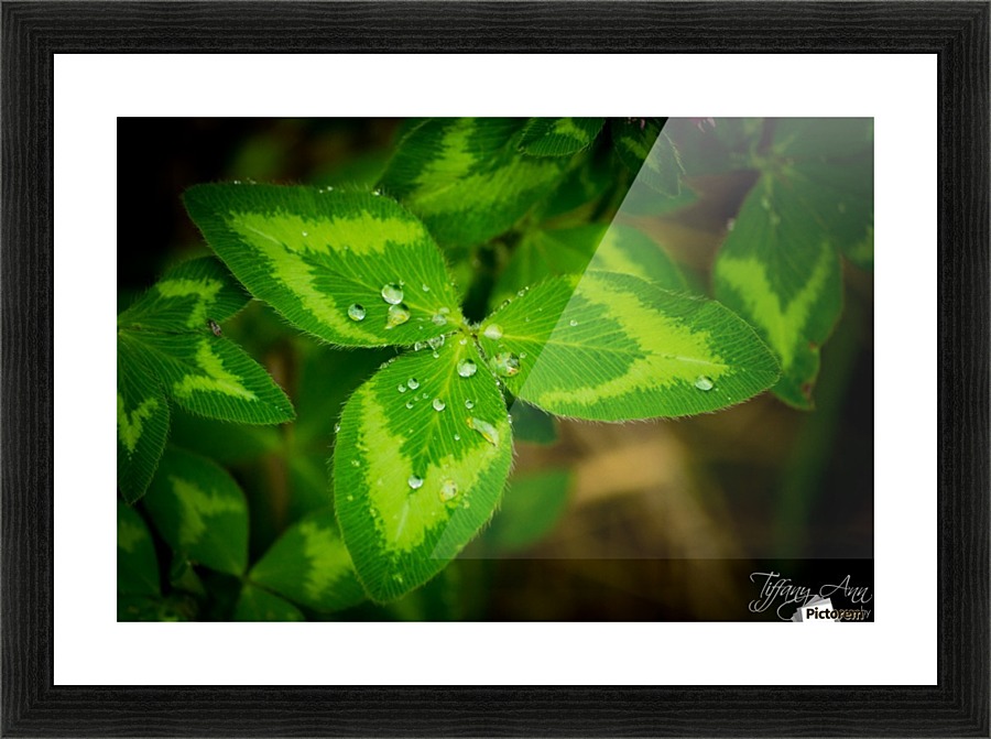 It Happens in Threes Picture Frame print