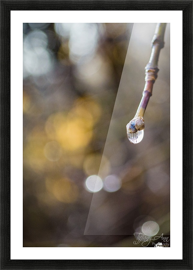 Winters Tear Picture Frame print