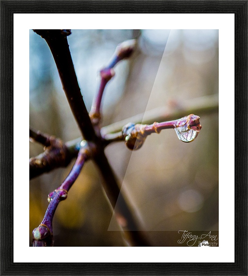 Colorful Disposition Picture Frame print