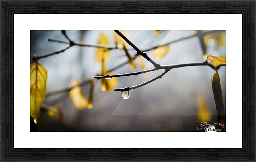 Through a Rain Drop Picture Frame print