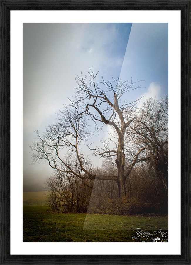Stand Out Picture Frame print