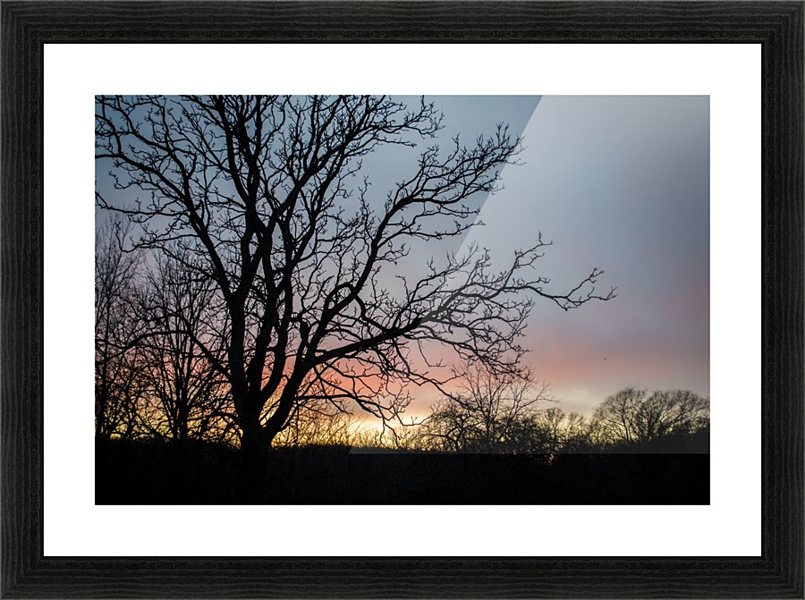 Sunrise Picture Frame print