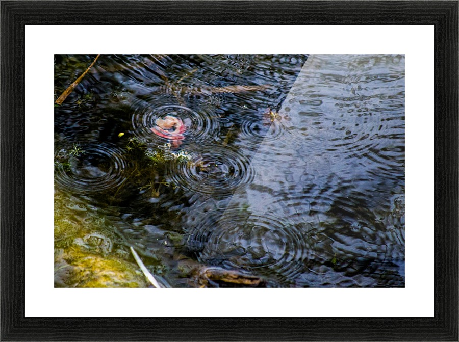 Rain Drops Picture Frame print