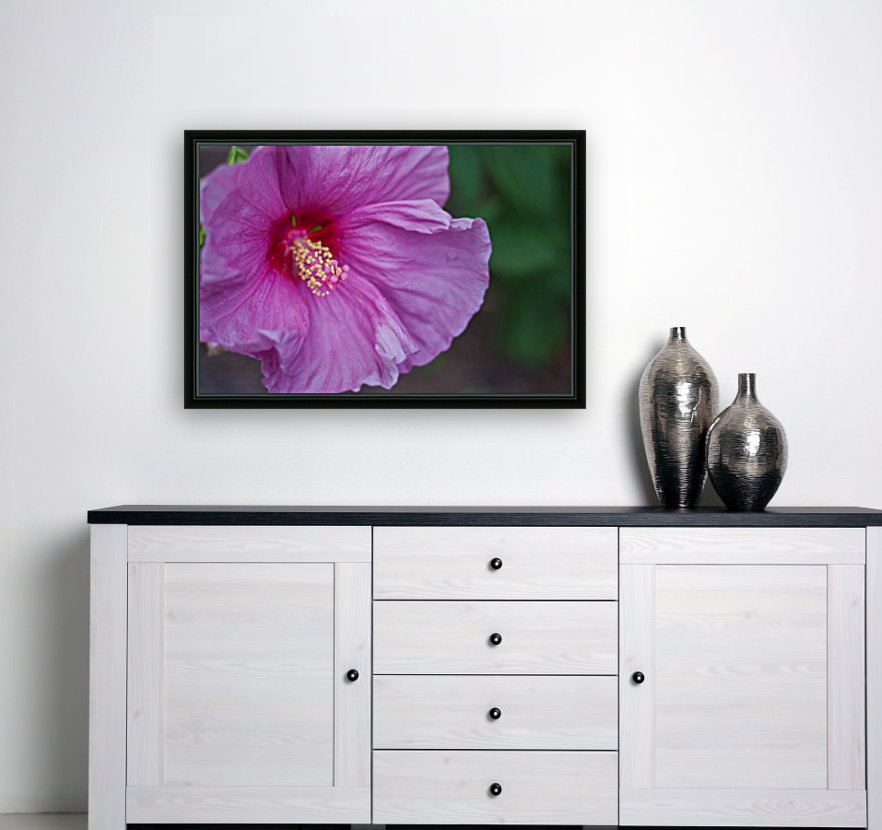 Flowers_ Reproduction