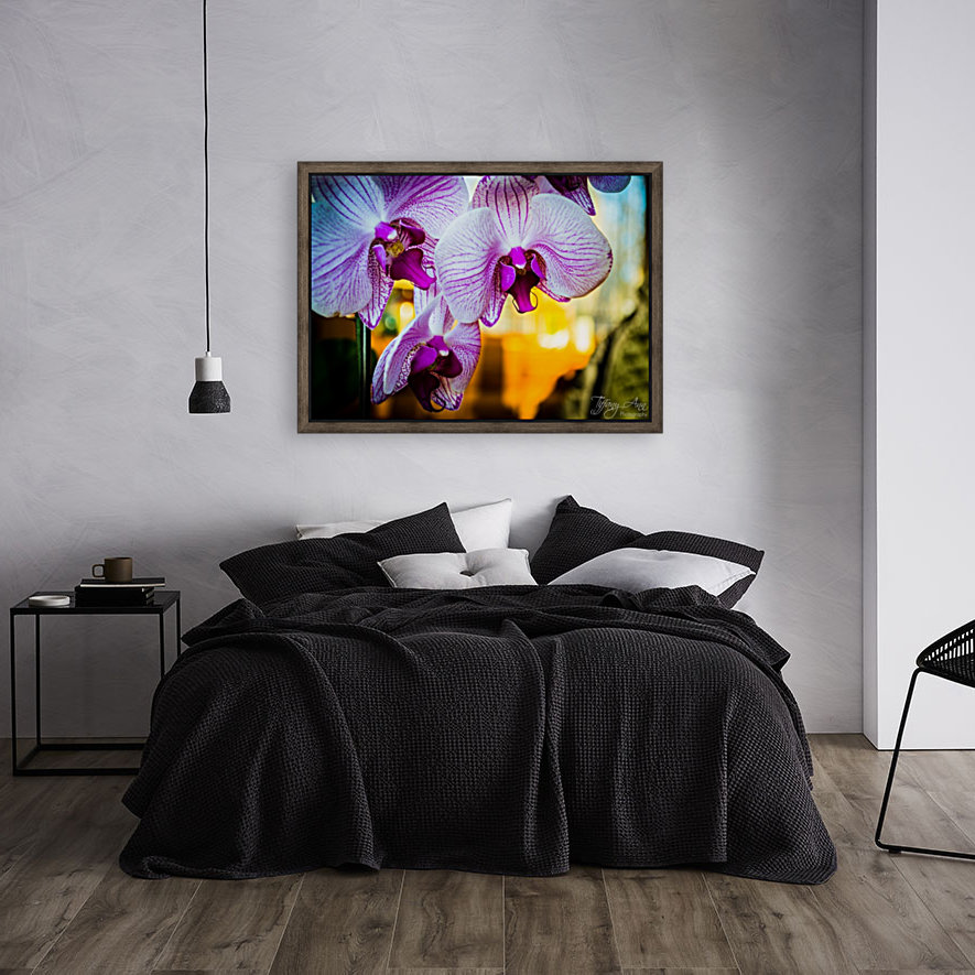 Orchids III Reproduction
