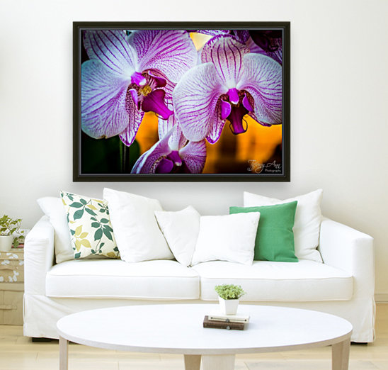 Orchids II Reproduction