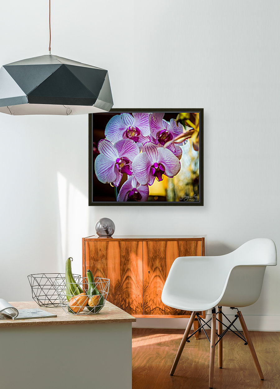 Orchids I Reproduction