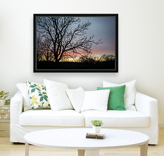 Sunrise Reproduction
