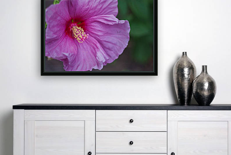 Flowers_ Reproduction