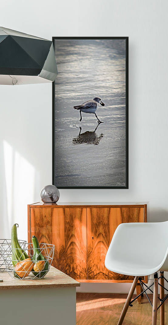 Bird II Reproduction