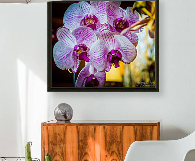 Orchids I Reproduction