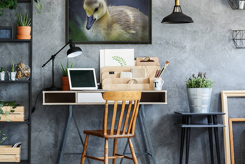 Gosling IV by Tiffany Ross