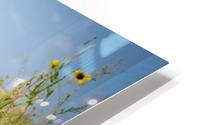 Wyoming_Solar_Eclipse HD Metal print