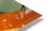 Multi Dimensional HD Metal print