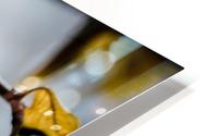 Through a Rain Drop HD Metal print