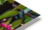 Spring has Sprung HD Metal print