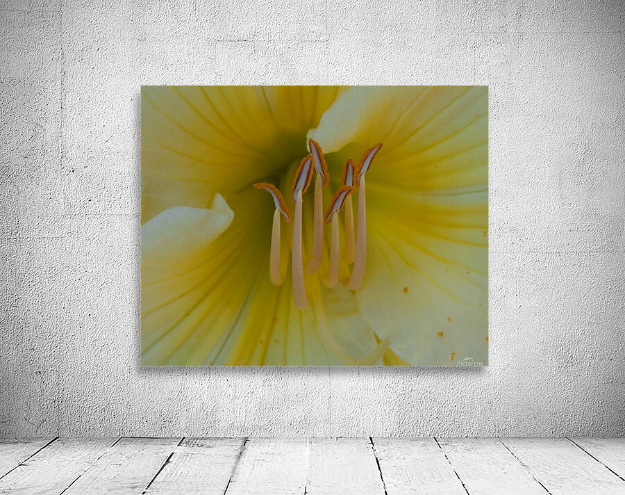 Flowers_ Wall Preview