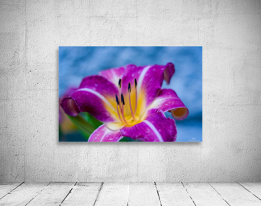 Flowers_ Wall Preview