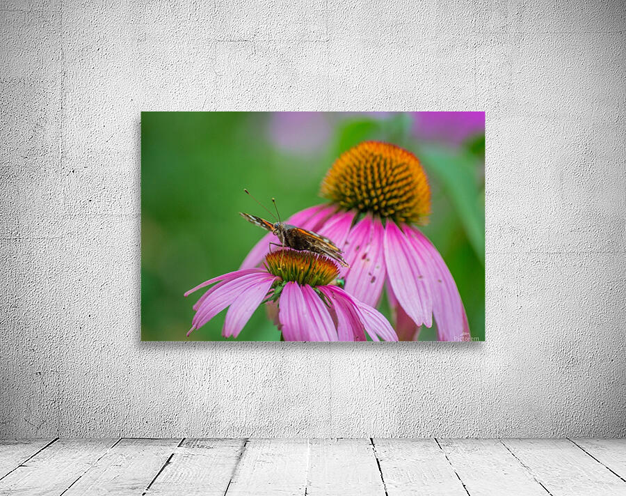 Taking a break I Wall Preview