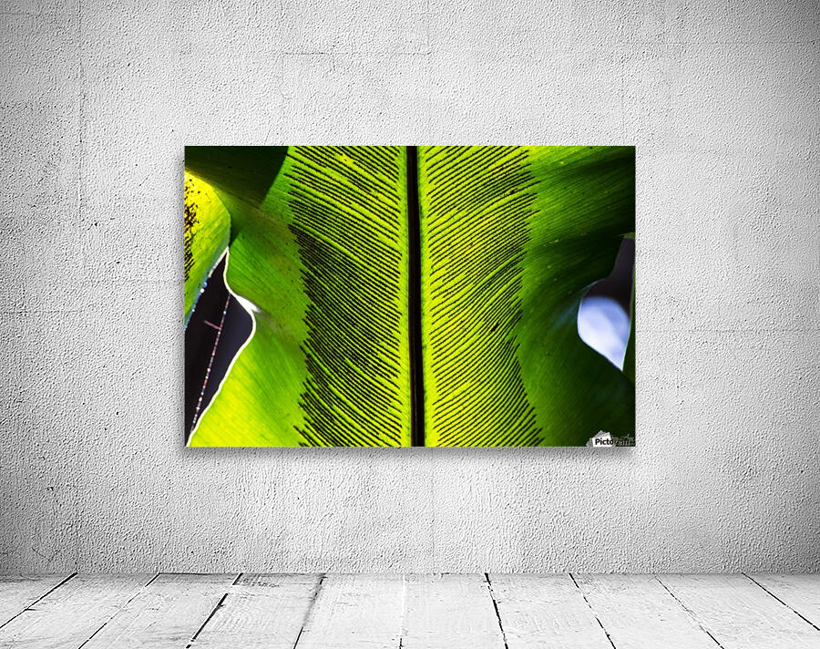 Transparent Wall Preview