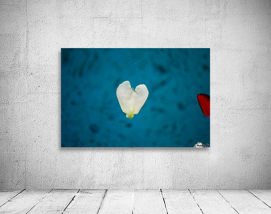 Drifting Love I Wall Preview