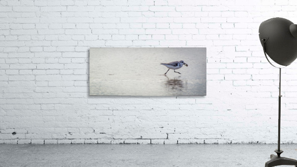Bird III Wall Preview