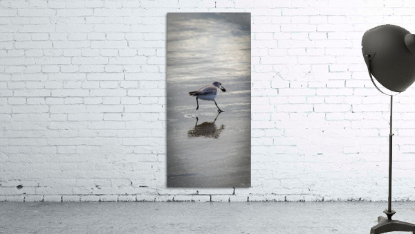 Bird II Wall Preview